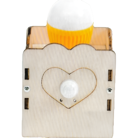 Human Body Induction Light